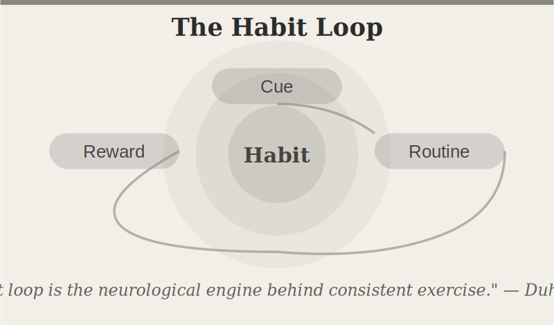 The habit loop &mdash; cue, routine, reward &mdash; is the neurological engine behind every consistent exercise practice. Design yours deliberately.
