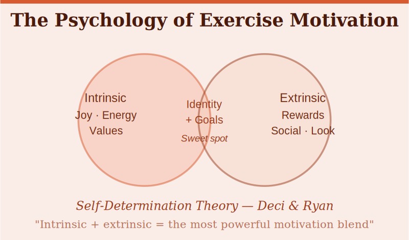 The most powerful exercise motivation blends intrinsic joy with external goals &mdash; where who you are aligns with what you do.