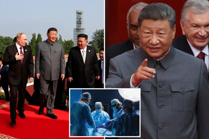 Tập Cận Bình và Putin nói về ghép tạng người