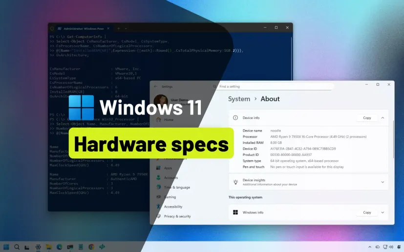 获取有关 Windows 的完整指南：从基础信息到高级技巧，一站式详解