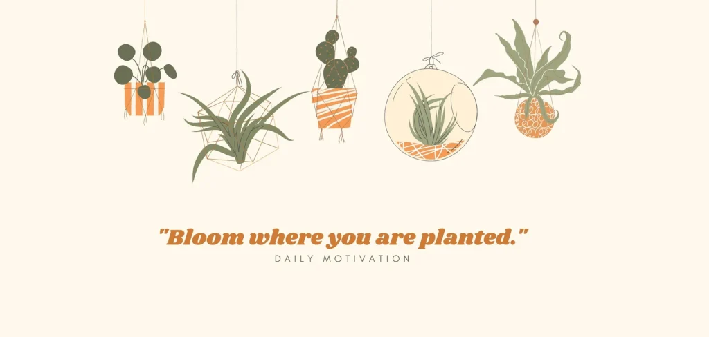 Aesthetic illustration with hanging plants and motivational quote – “Bloom where you are planted.”