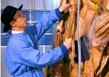 Xác Người Trong Triển Lãm Body Worlds Đến Từ Đâu? Sự Thật Về Chương Trình Hiến Xác Và Những Cáo Buộc Chưa Được Giải Đáp