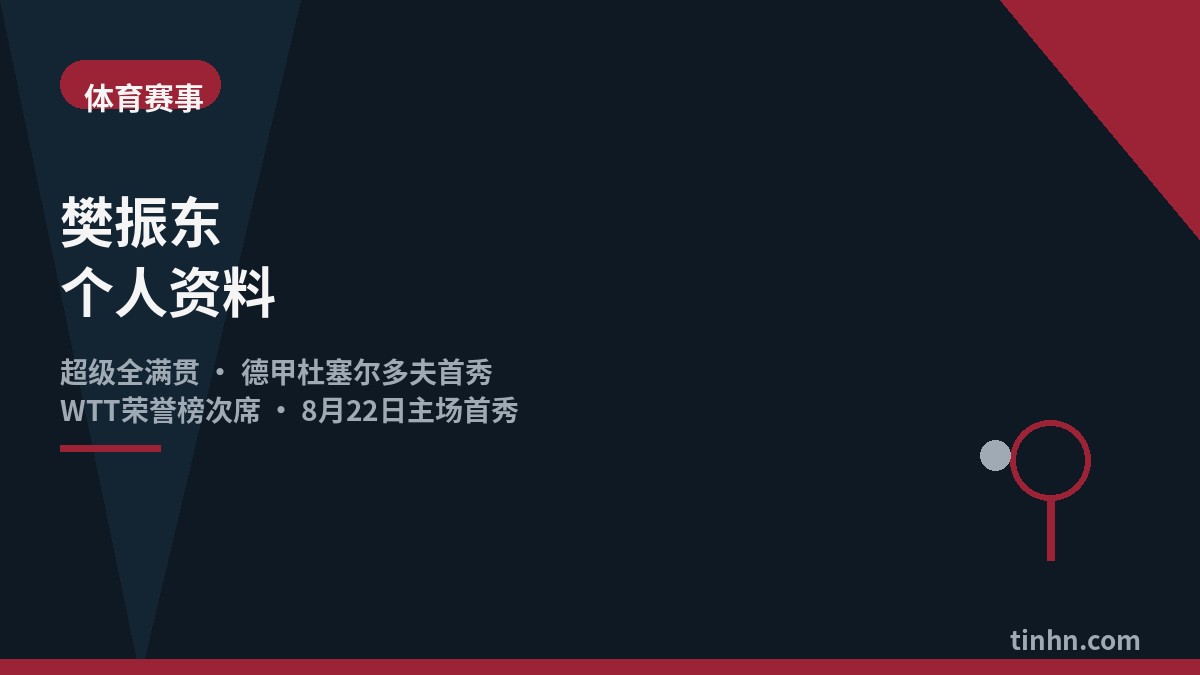 樊振东个人资料几何风格插画
