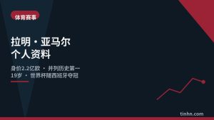 拉明·亚马尔个人资料几何风格插画