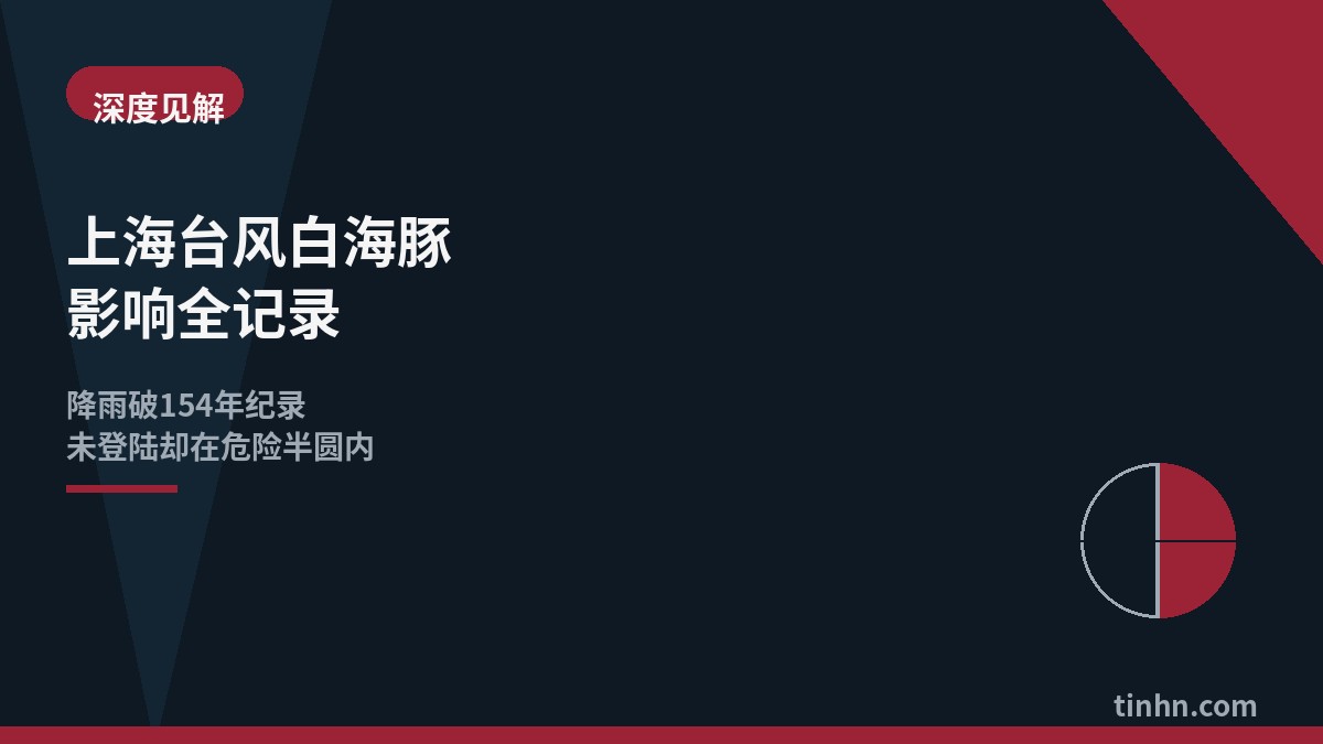 上海台风白海豚影响几何风格插画