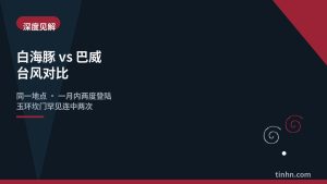 台风白海豚对比台风巴威几何风格插画