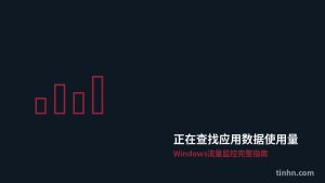 正在查找应用数据使用量：Windows流量监控完整指南