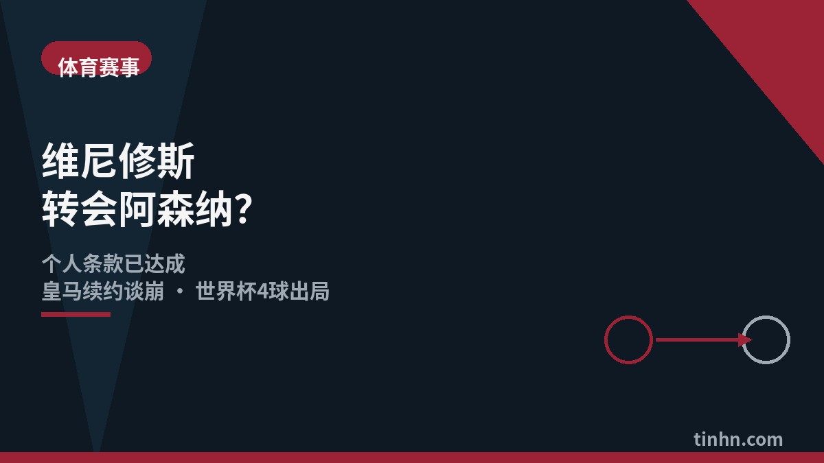 维尼修斯个人资料几何风格插画