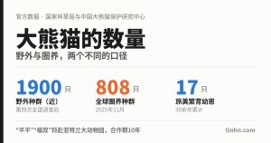 大熊猫的数量有多少只？野外、圈养与旅美大熊猫最新数据（附"平平""福双"赴美）
